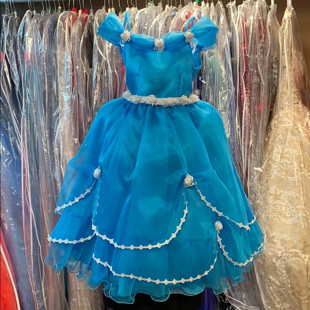 CINDERELLA STYLE LITTLE GIRLS DRESS